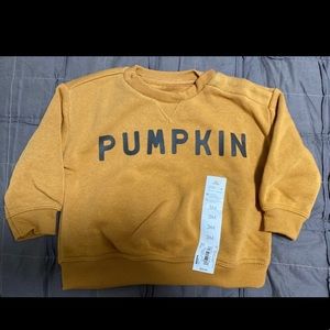 NWT Lauren Conrad Little Co. Pumpkin Sweatshirt Pullover 3 Months